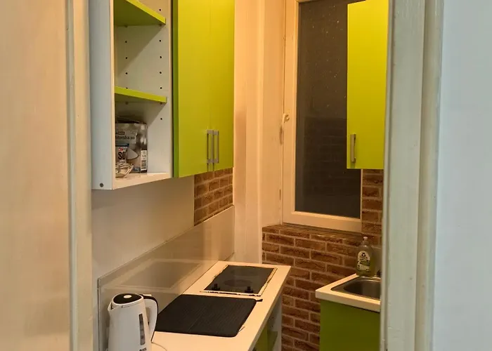 Skadarlija - Center Lejlighed