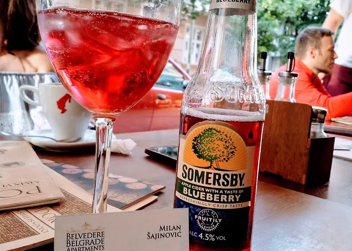 Lejlighed Skadarlija - Center *